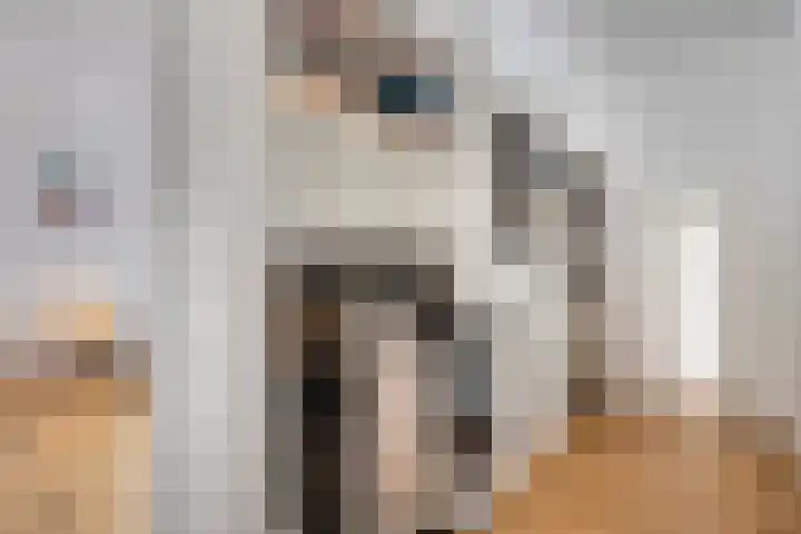 Libel 1 Epe thumbnail 21