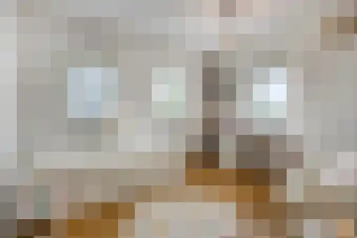 Libel 1 Epe thumbnail 22