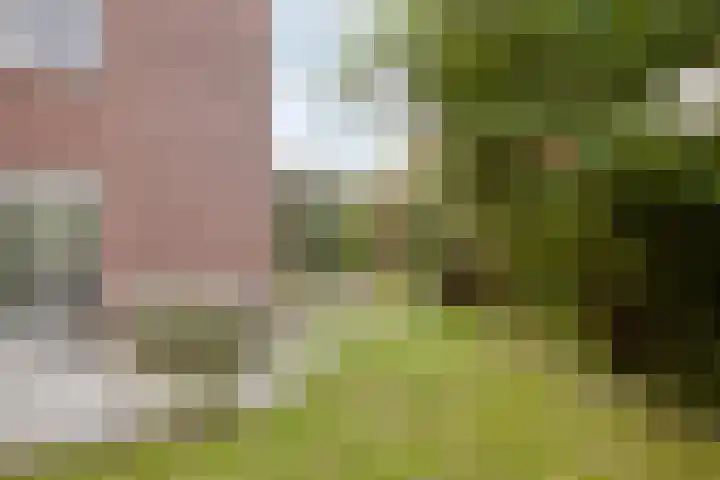 Libel 1 Epe thumbnail 33