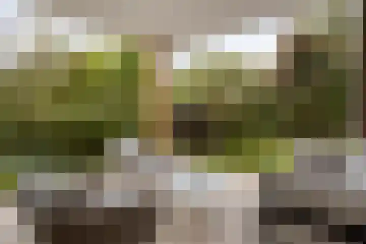 Libel 1 Epe thumbnail 34