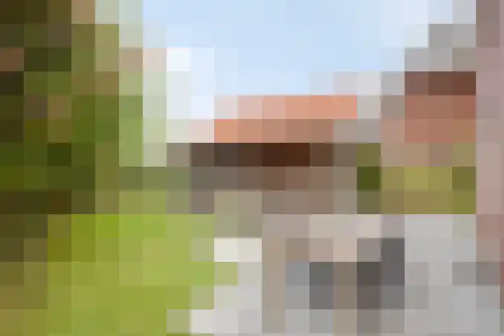 Libel 1 Epe thumbnail 35