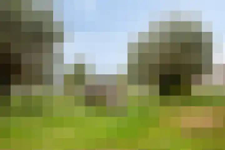 Libel 1 Epe thumbnail 38