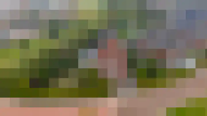 Libel 1 Epe thumbnail 39