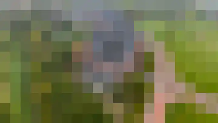 Libel 1 Epe thumbnail 40