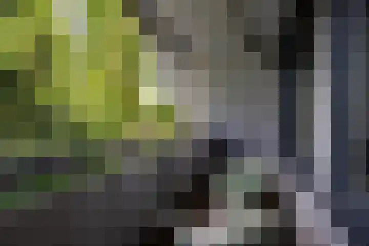 Libel 10 Leusden thumbnail 20