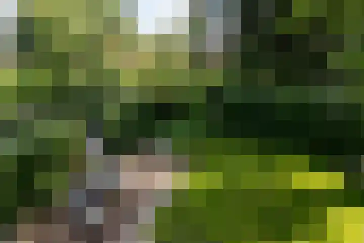 Libel 10 Leusden thumbnail 21