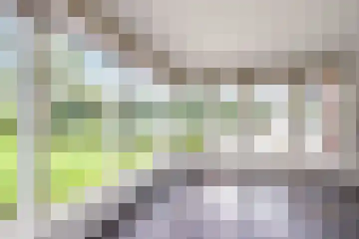 Libel 10 Leusden thumbnail 28