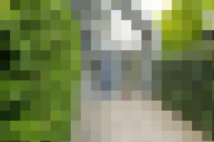 Libel 10 Leusden foto 3