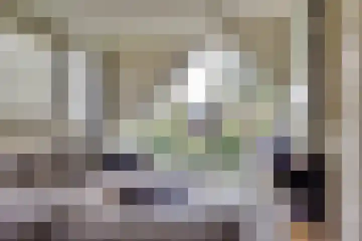 Libel 10 Leusden thumbnail 31