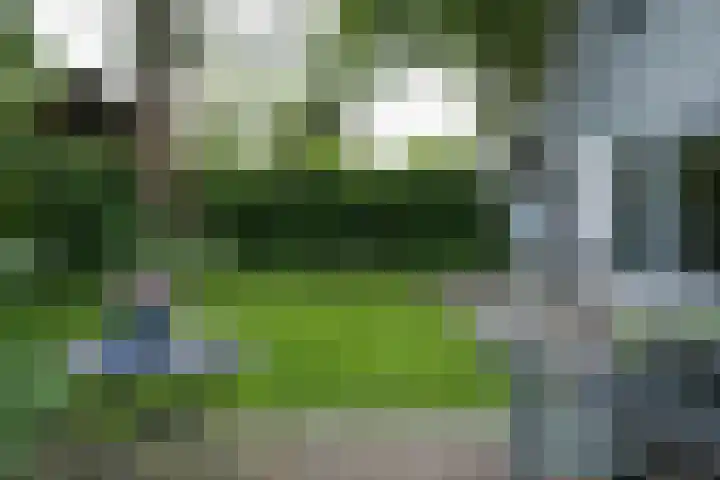 Libel 10 Leusden thumbnail 33