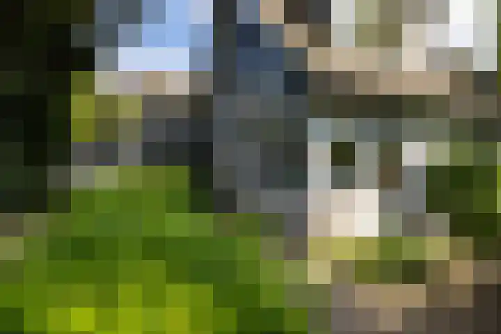 Libel 10 Leusden thumbnail 35