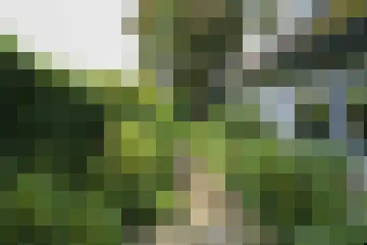 Libel 10 Leusden thumbnail 36