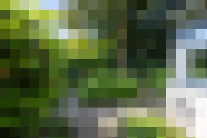 Libel 10 Leusden thumbnail 37