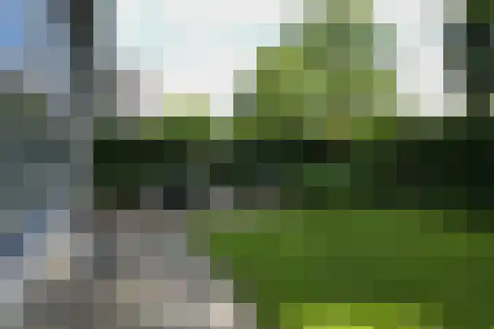 Libel 10 Leusden thumbnail 38