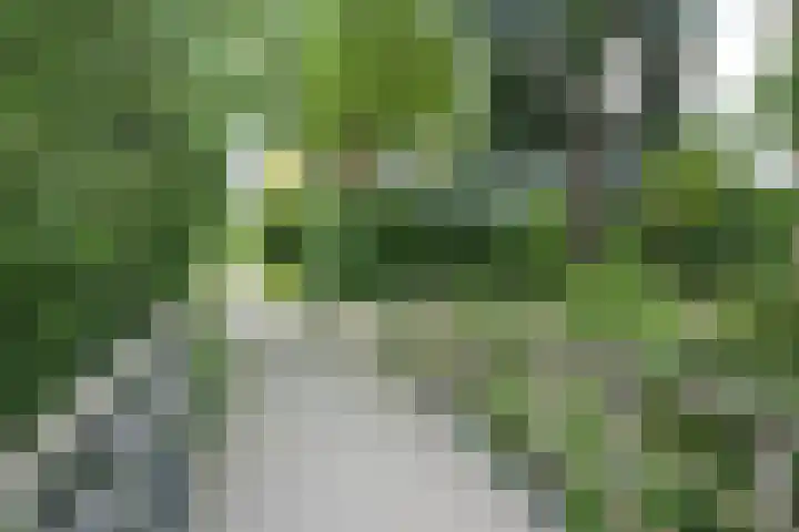 Libel 10 Leusden thumbnail 39