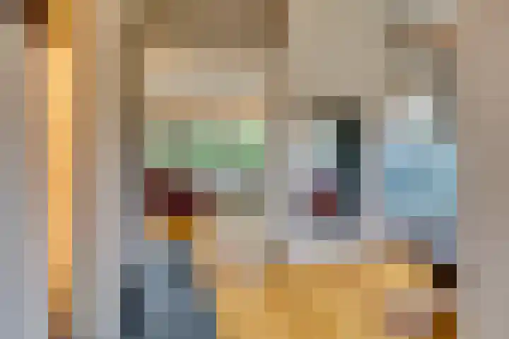 Libel 10 Leusden thumbnail 6