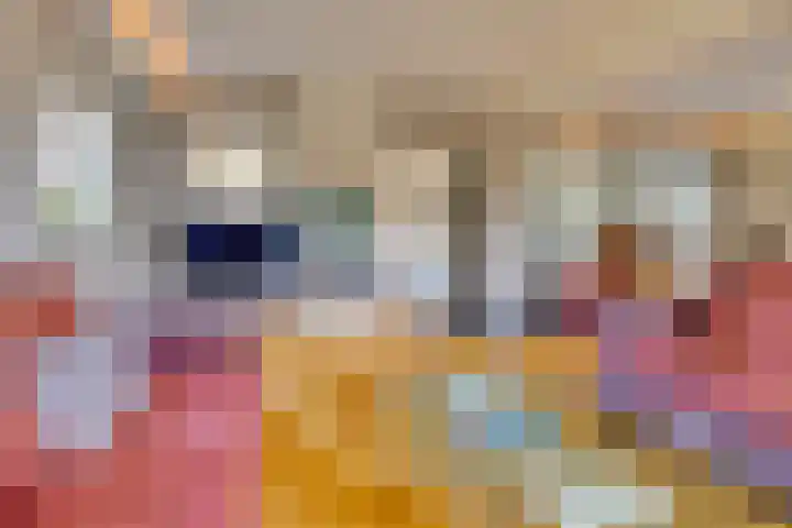 Libel 10 Leusden thumbnail 9
