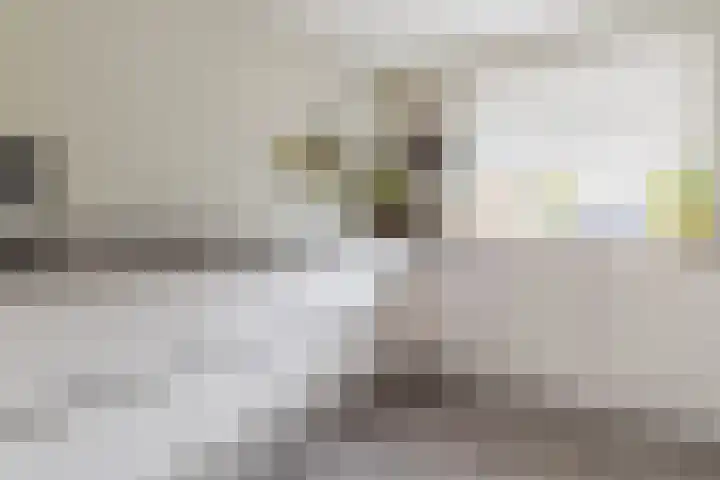 Libel 25 Soest thumbnail 10