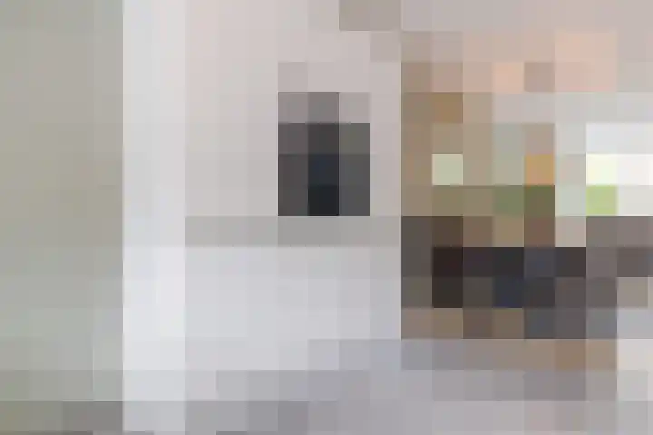 Libel 25 Soest thumbnail 11