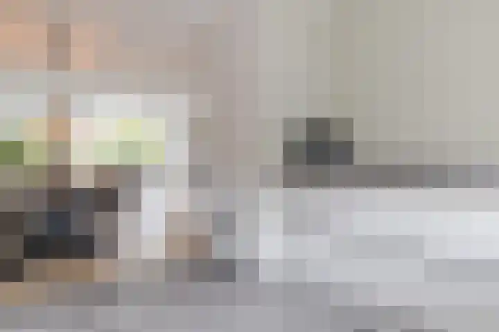 Libel 25 Soest thumbnail 12
