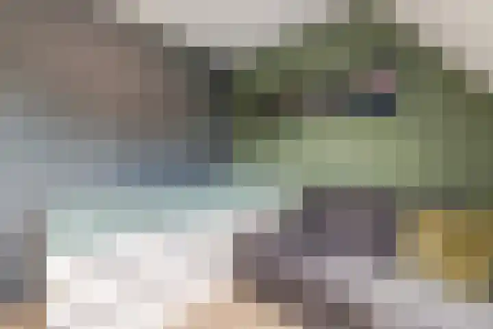 Libel 25 Soest thumbnail 17