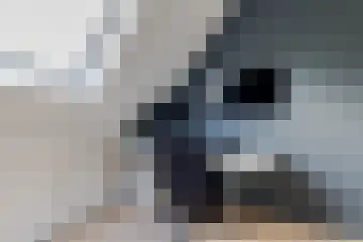 Libel 25 Soest thumbnail 19