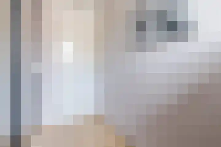 Libel 25 Soest thumbnail 21