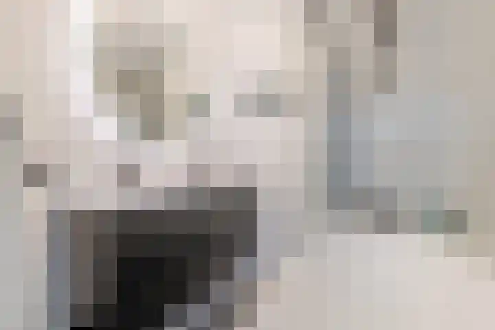 Libel 25 Soest thumbnail 22
