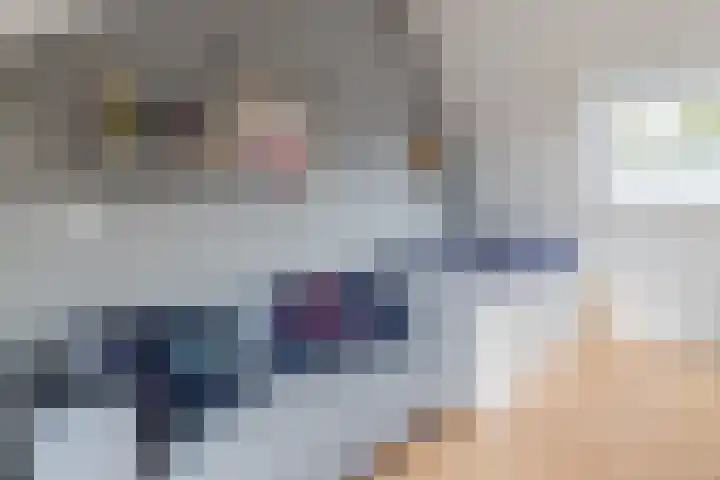 Libel 25 Soest thumbnail 25