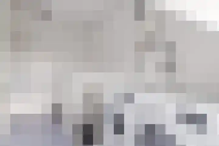 Libel 25 Soest thumbnail 29
