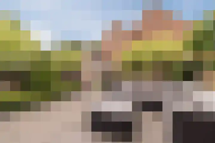 Libel 25 Soest thumbnail 31