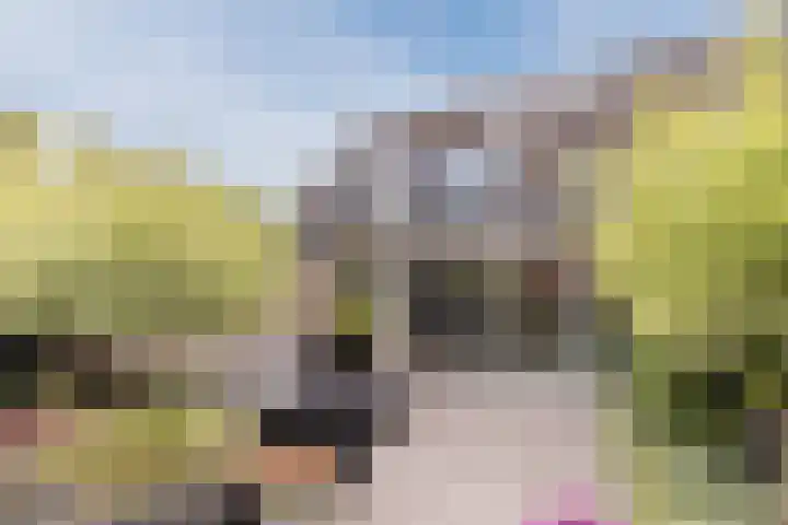 Libel 25 Soest thumbnail 33