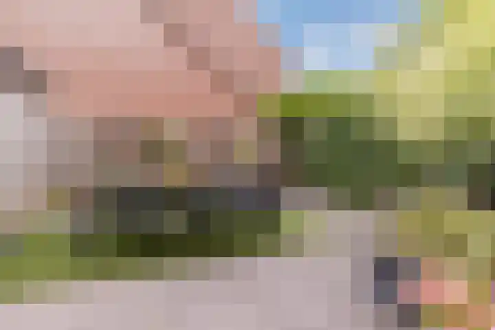 Libel 25 Soest thumbnail 34