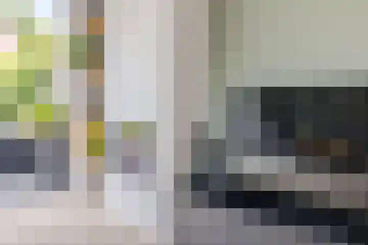 Libel 25 Soest thumbnail 9