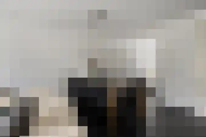 Libel 26 Veldhoven thumbnail 11