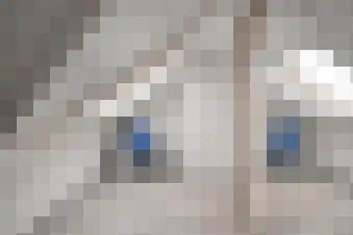 Libel 26 Veldhoven thumbnail 29