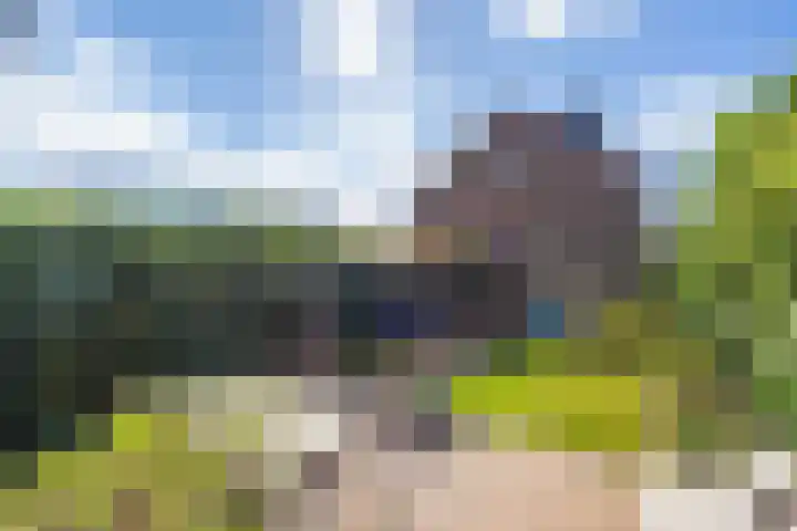 Libelsingel 69 Den Haag thumbnail 22