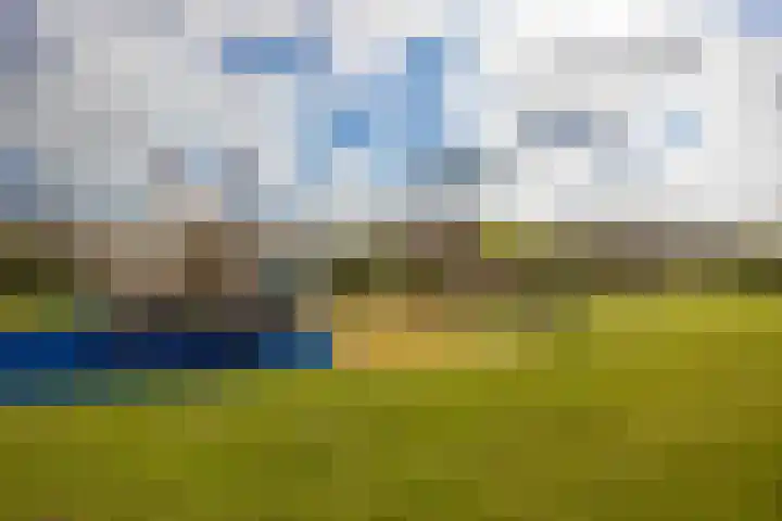 Libelsingel 69 Den Haag thumbnail 42