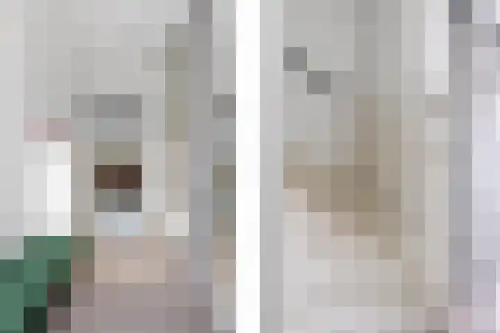 Libra 1 Hapert thumbnail 19