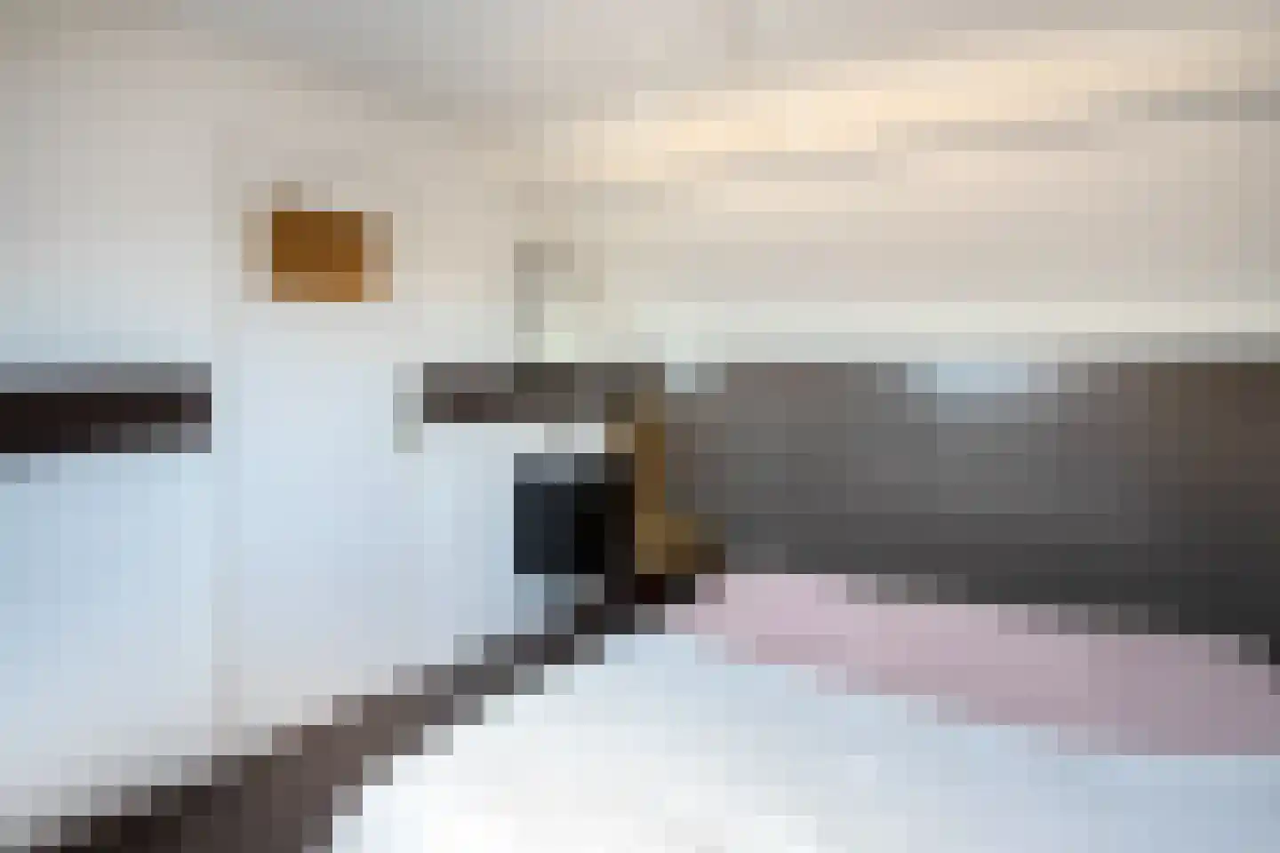 Libra 1 Hapert thumbnail 31