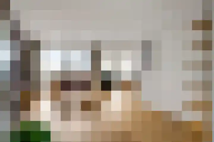 Librije 48 Horst thumbnail 22