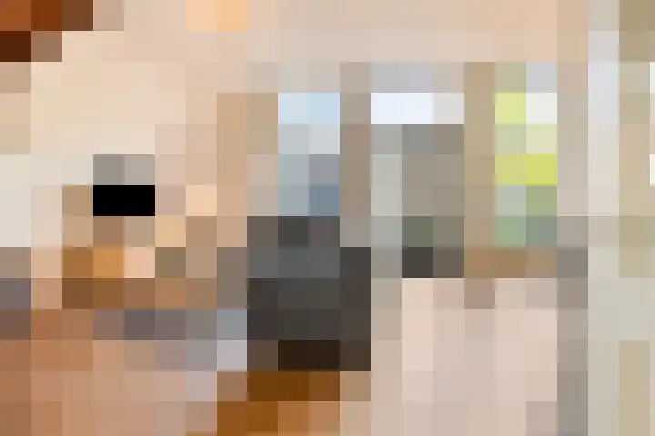 Librije 5 Horst thumbnail 15