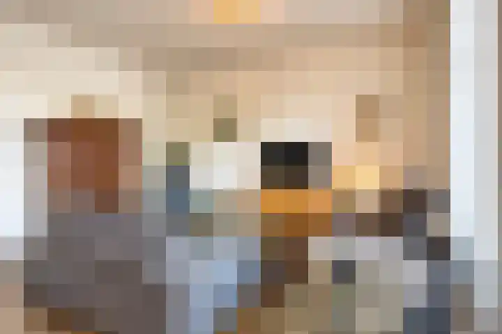 Librije 5 Horst thumbnail 16
