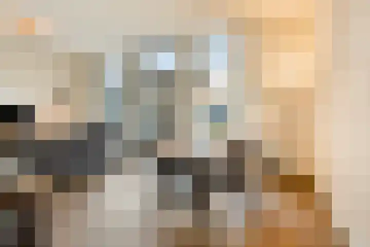 Librije 5 Horst thumbnail 19