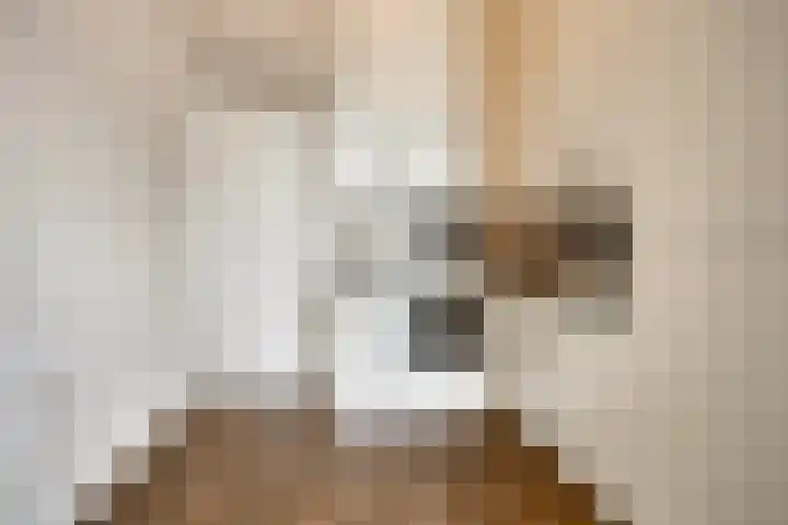 Librije 5 Horst thumbnail 20