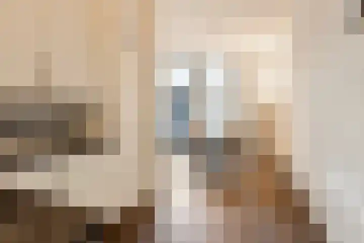 Librije 5 Horst thumbnail 22