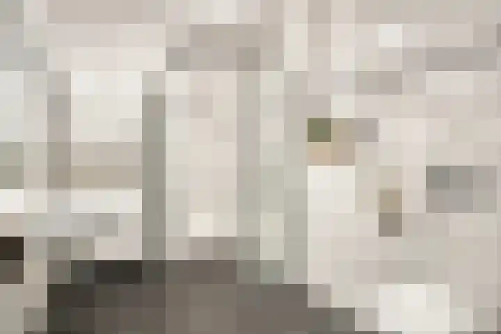 Librije 5 Horst thumbnail 25