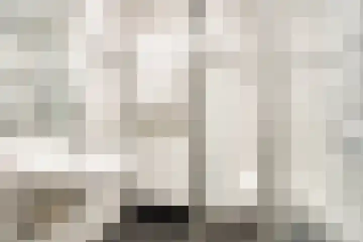 Librije 5 Horst thumbnail 26