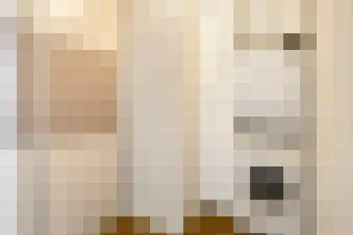 Librije 5 Horst thumbnail 29