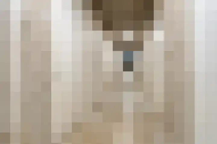 Librije 5 Horst thumbnail 30
